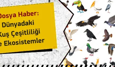 Gezegenin Kanatlı Muhafızları: Kuş Çeşitliliği Ekosistemleri Nasıl Koruyor?