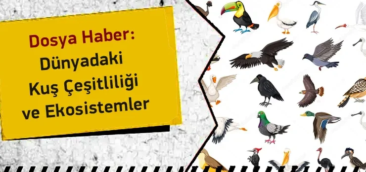 Gezegenin Kanatlı Muhafızları: Kuş Çeşitliliği Ekosistemleri Nasıl Koruyor?