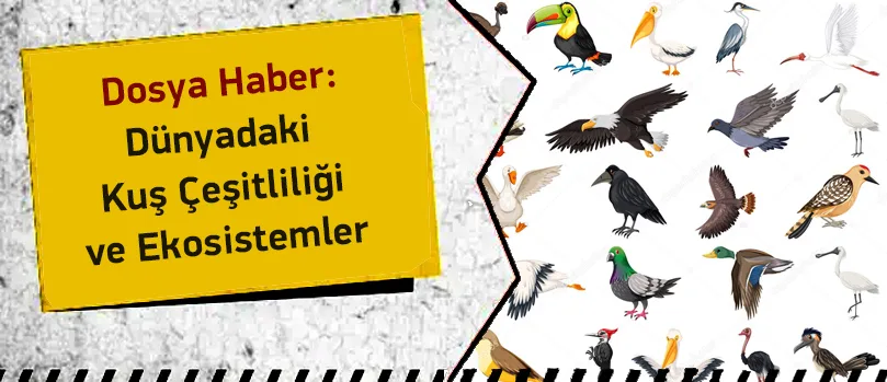 Gezegenin Kanatlı Muhafızları: Kuş Çeşitliliği Ekosistemleri Nasıl Koruyor?