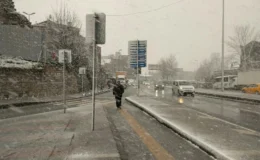 Karadeniz’in Beyaz Esareti: Çayeli’nde Kar Fırtınası Hayatı Felç Etti!