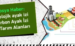 Dünya Kaynakları Tükeniyor: Ekolojik Ayak İzimizi Nasıl Küçültebiliriz?