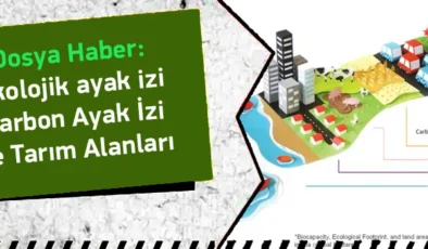 Dünya Kaynakları Tükeniyor: Ekolojik Ayak İzimizi Nasıl Küçültebiliriz?