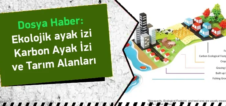 Dünya Kaynakları Tükeniyor: Ekolojik Ayak İzimizi Nasıl Küçültebiliriz?