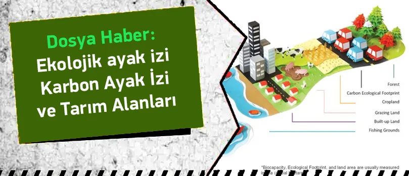 Dünya Kaynakları Tükeniyor: Ekolojik Ayak İzimizi Nasıl Küçültebiliriz?