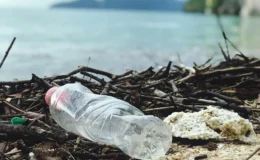 İçme Suyunda Mikroplastik Var Ama Risk Ne Kadar?