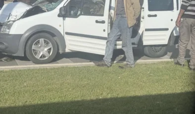 At Araba Üzerine Düştü: Gaziantep’te İnanılmaz Olay!