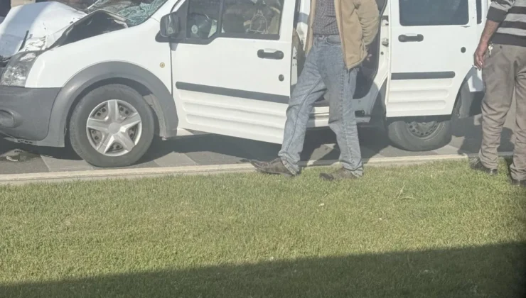 At Araba Üzerine Düştü: Gaziantep’te İnanılmaz Olay!