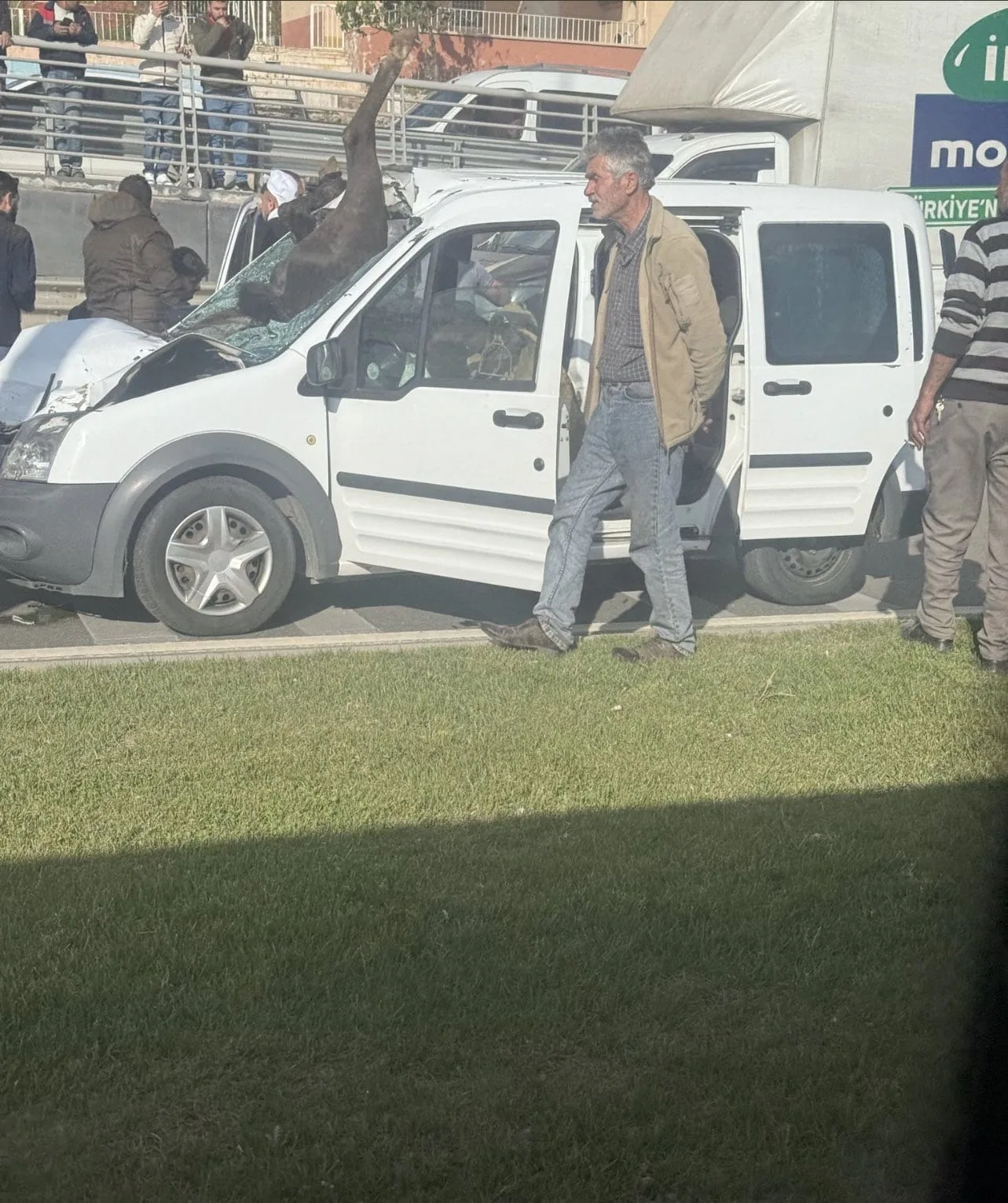 At Araba Üzerine Düştü: Gaziantep’te İnanılmaz Olay!