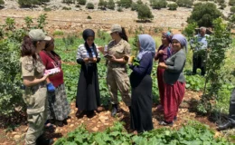 Gaziantep’te Jandarma Anız Yangınlarına Karşı Denetimlerini Sürdürüyor