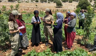 Gaziantep’te Jandarma Anız Yangınlarına Karşı Denetimlerini Sürdürüyor