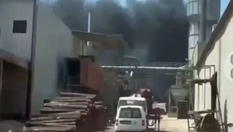 Gaziantep’te büyük yangın