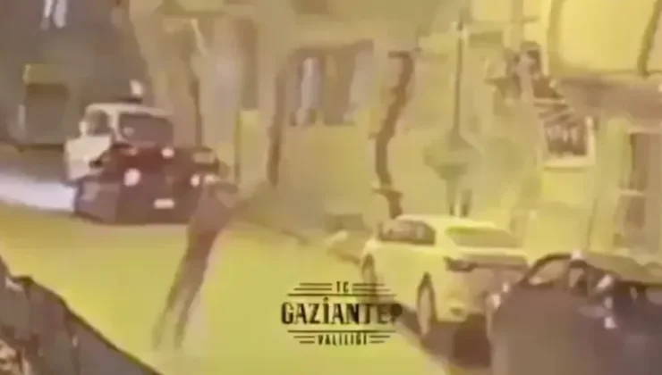 Gaziantep’te o zanlılar yakalandı