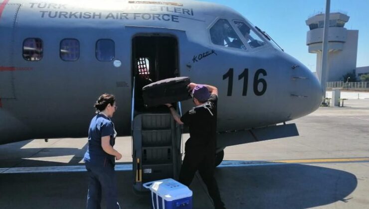 Hava Kuvvetleri uçağı, organ nakli için havalandı