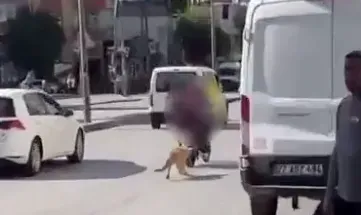 Gaziantep’te köpeğe işkence edenler yakalandı