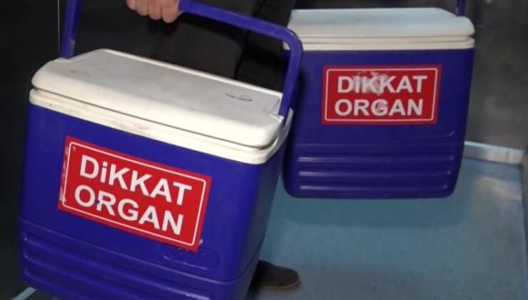 Organ bağışı e-Devlet ve e-Nabız’dan yapılabilecek
