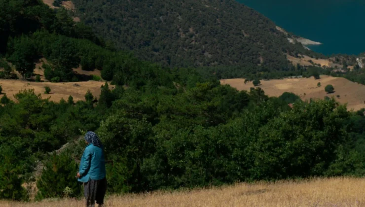 Güneydoğu Anadolu’nun Hayat Kaynağı Nehirler ve Sınır Ötesi Yolculukları