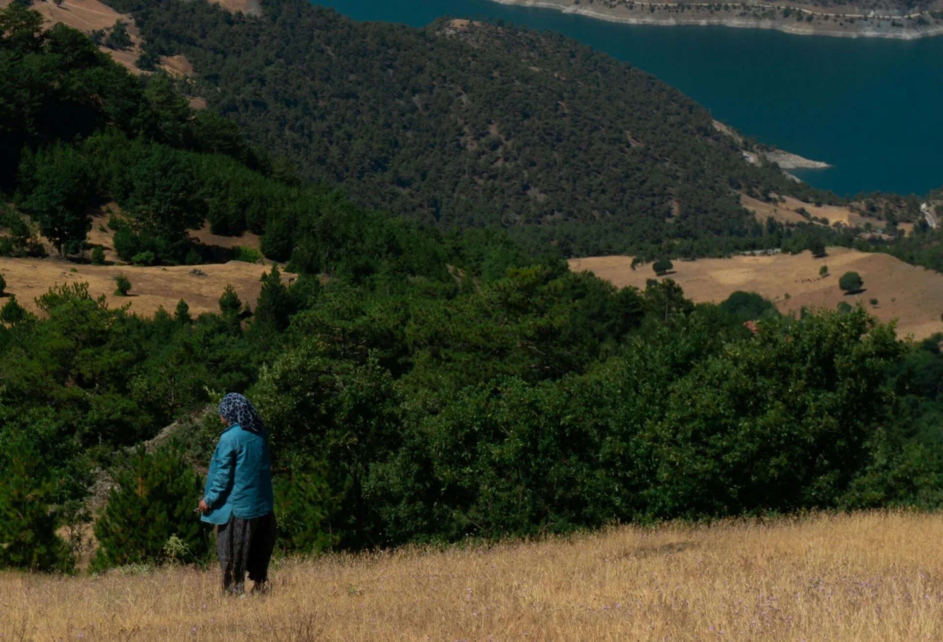 Güneydoğu Anadolu’nun Hayat Kaynağı Nehirler ve Sınır Ötesi Yolculukları