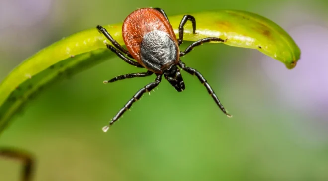 En Çok Bu İller Risk Altında, Devletten Kritik Adım