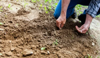 Gaziantep’te Tohum Takas ve Doğa Dostu Tarım Etkinliği Başlıyor