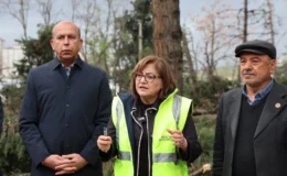 Kök söken iklim tokadı