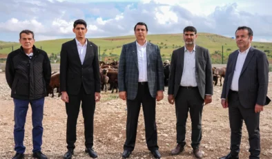 Şehitkamil’de kurbanlık fiyatları açıklandı! İşte fiyatlar…