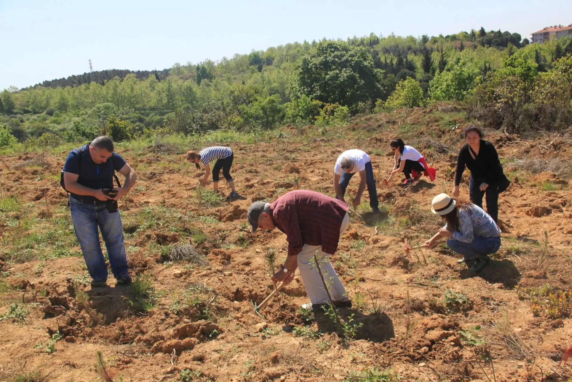 Bir yılda 116 bin fidan dikildi Bir yılda 116 bin fidan dikildi