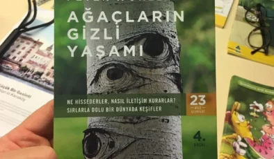Ekologların ve doğa severlerin mutlaka okuması gereken kitap: Ağaçların gizli yaşamı