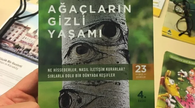 Ekologların ve doğa severlerin mutlaka okuması gereken kitap: Ağaçların gizli yaşamı