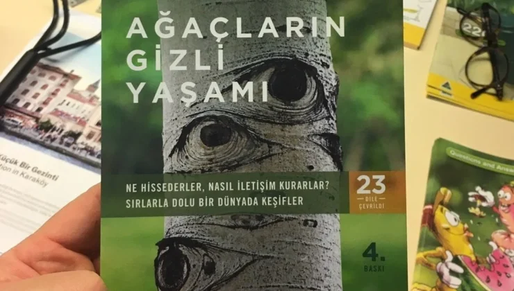 Ekologların ve doğa severlerin mutlaka okuması gereken kitap: Ağaçların gizli yaşamı