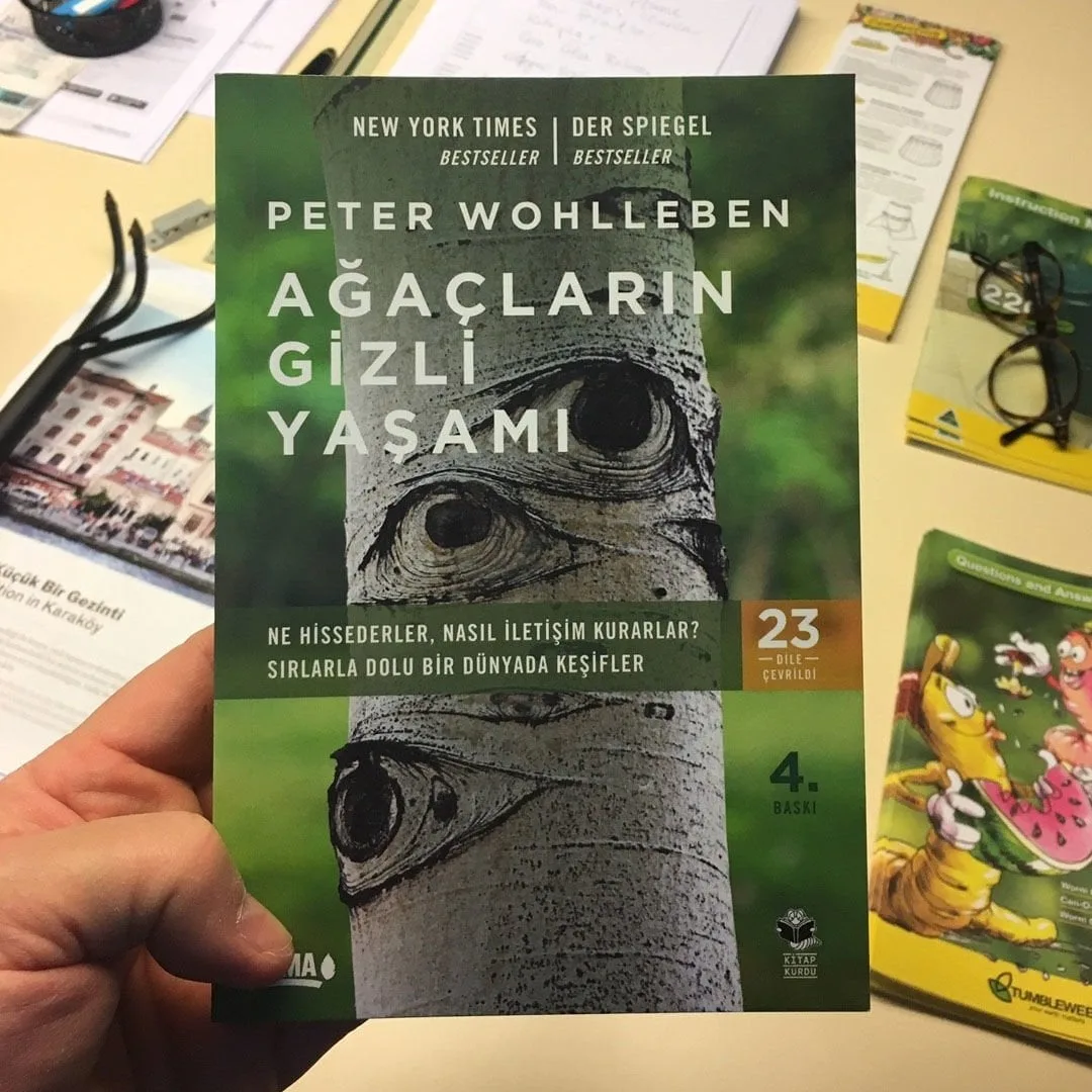Ekologların ve doğa severlerin mutlaka okuması gereken kitap: Ağaçların gizli yaşamı