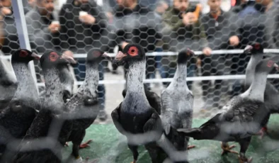 Güneydoğu’nun Kuşçuluk Merkezi Şehitkamil oluyor