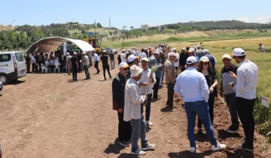 GAP’ta çiftçilere dijital tarım teknolojisi tanıtıldı