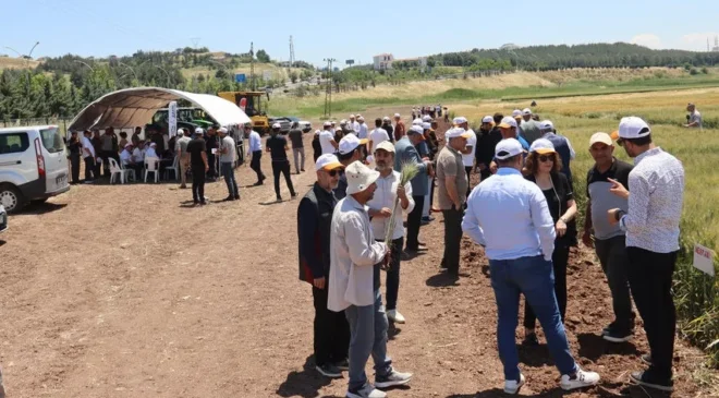 GAP’ta çiftçilere dijital tarım teknolojisi tanıtıldı