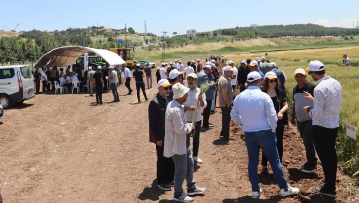 GAP’ta çiftçilere dijital tarım teknolojisi tanıtıldı