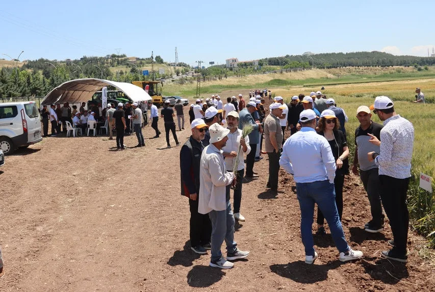 GAP’ta çiftçilere dijital tarım teknolojisi tanıtıldı
